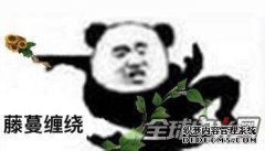 兄弟的意思