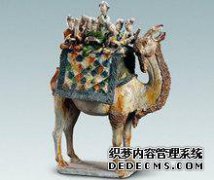 三色骆驼的最典型功能是什么？