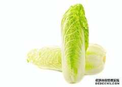吃大白菜叶有哪些害虫？如何预防和管理吃树叶
