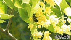 天才酷宝神参加小说在线阅读轩yuan汽车五月精品